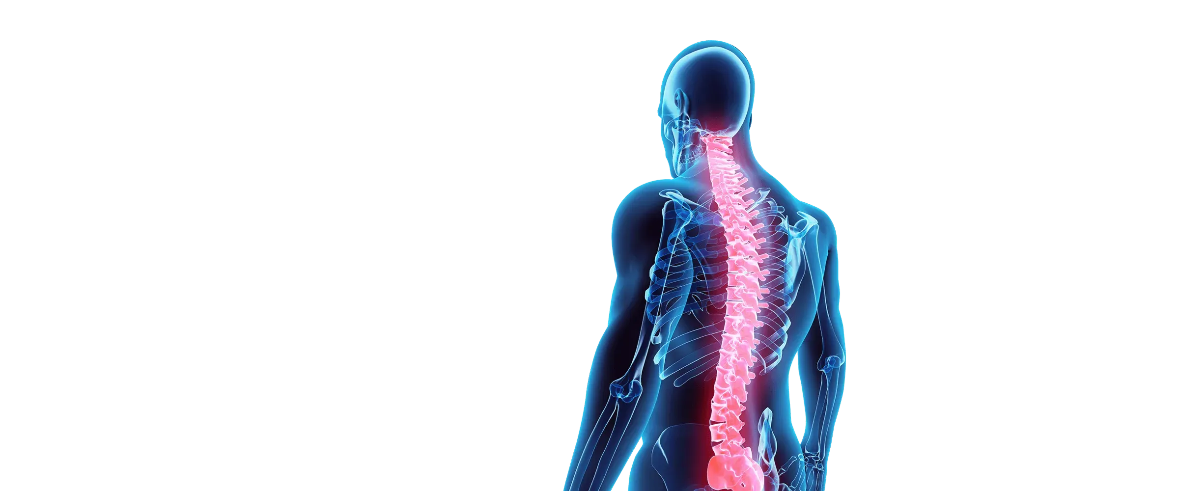 chiropractic spine